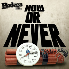 The Bodega Brovas "Now or Never"