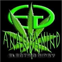 Electric Gipsy/Ananda Mind