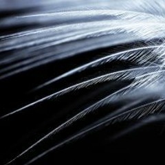 ADAGIO (ALBINONI) 2001