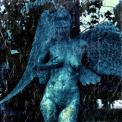 Angel In the Rain