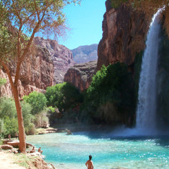 The Curse (artist: Black Valentine)