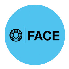 FACE Courtyard Mix Winter 2010