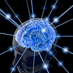 FERTILE MIND