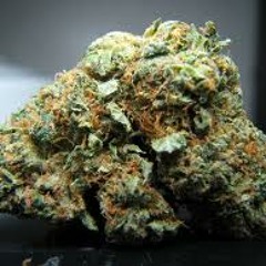 Kiwi - Good Dank - freestyle