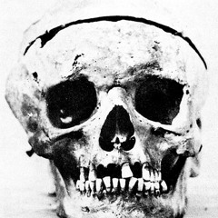 Belmont V - I Can Feel You... (March Promo)