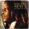 richie-spice-jah-never-let-us-down-vp-records