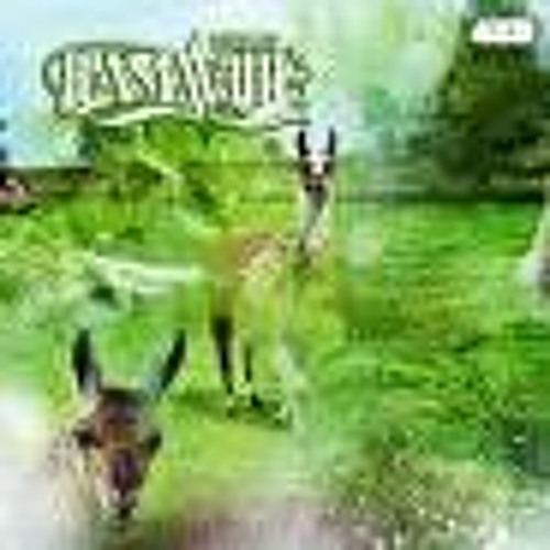 洋楽 DIBIA$E / SOUND PALACE Amazon.co.jp: SOUND PALACE: ミュージック