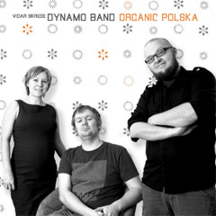 Halling frå Lysekil (Band: Vidar Skrede DYNAMO BAND, Album: Organic Polska, Comp.: Vidar Skrede)