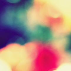 Goose - 10 fake star