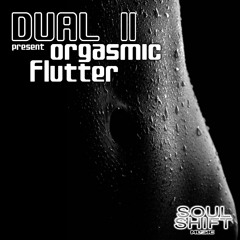 Dual II - Orgasmic flutter (the hard way mix) - Soul Shift Music (USA)