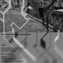 Lintwahn - Brooding Synthetica|Lurking Spider (feat. Bizz)