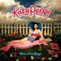 Katy Perry - Waking Up In Vegas (Jake Ridley Remix)