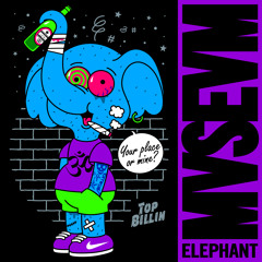 MVSEVM: Elephant