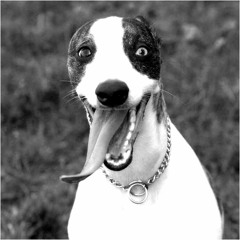 Kid koala remix - end titles !