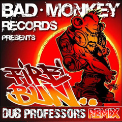 Erb N Dub & Tony Anthem feat. SMK & Navigator - Fire Bun (Dub Professors Remix)