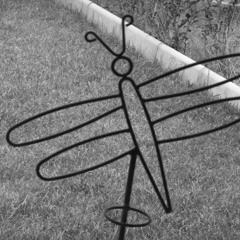 Mesut Ata Birtday Party Live