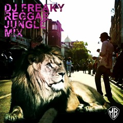 Dj Freaky - Reggae Jungle mix10.01.2011