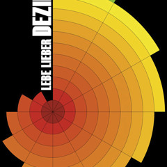 Lebe Lieber Dezibel DJ Sets