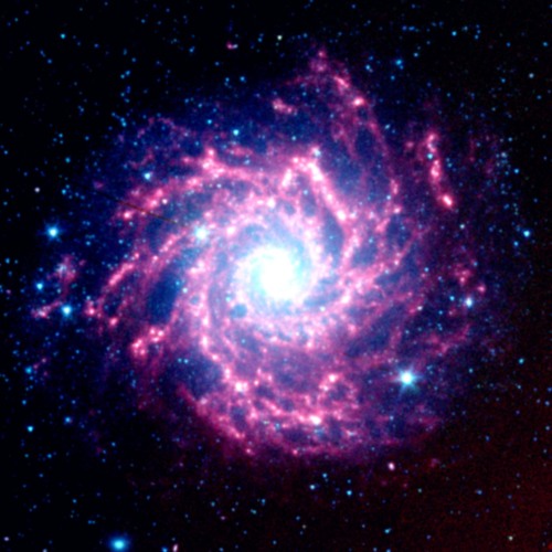 Spiralex