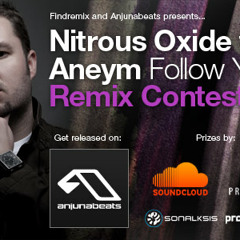 Nitrous Oxide feat. Aneym - Follow You (Craving and Howe Remix)