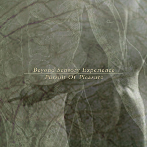 Beyond Sensory Experience - Pursuit of Pleasure