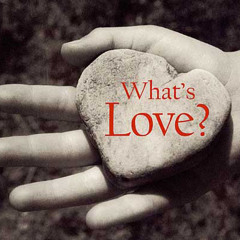 សង្ឃឹម ឬគ្មានសង្ឃឹម, ដោយ ស៊ិន ស៊ីសាមុត