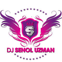 DJ SENOL ft. Sinan Isbeceren - Sensin Benim Kaderim ( REMIX )