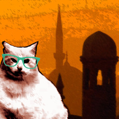 Fat Cat -Middle Eastern jam (Dubstep VIP Remix)