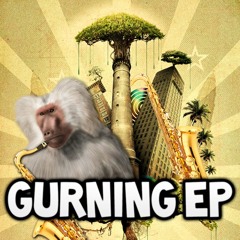Groovebox - Gurning (Scaley Craig Remix) Baboon Tunes 28 Feb 2011