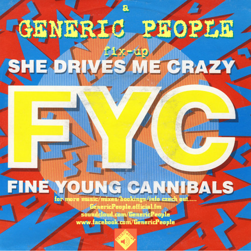 Fine Young Cannibals - She Drives me Crazy (GENERIC PEOPLE fix-up)