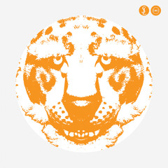 AM & Shawn Lee - "Dark Into Light"