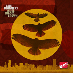 Late Bloomers- Money Maker