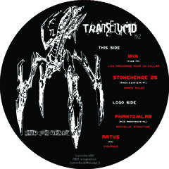 STONEHENGE 25- harpe rulez-TRANSELUCID 02