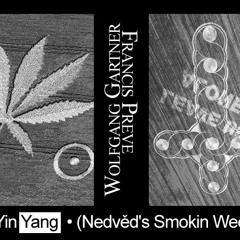 Wolfgang Gartner &amp; Francis Preve - YinYang (David Nedved Rework)