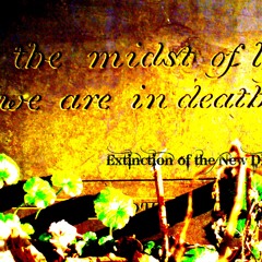 (easy living) on the agnostic front