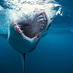 Small Time (What You Want)