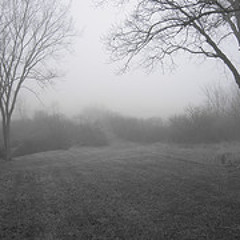 HEY THERE EARTH WILL YOU BE MY DOG