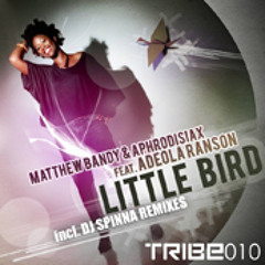 Matthew Bandy & Aphrodisiax ft Adeola Ranson "Little Bird"