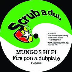 Mungo's Hi Fi - Fire pon a dubplate