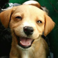 Ballad of a Broken Heart