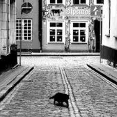 Paul Monroe & Oleinik - Crossing my street