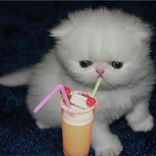 Chunder-fairly hard techno 2011