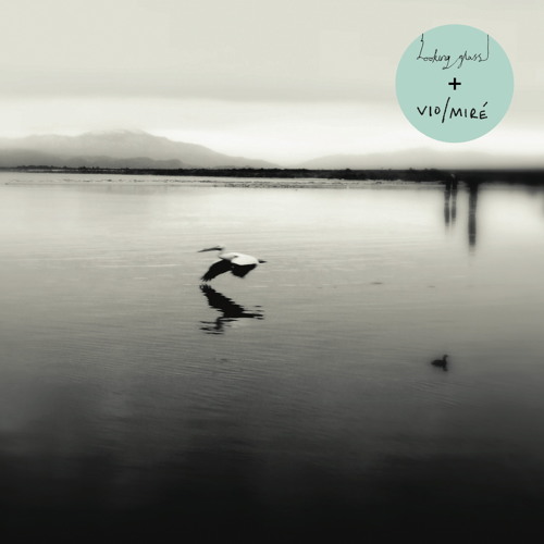 Looking Glass - Infinite Wisdom