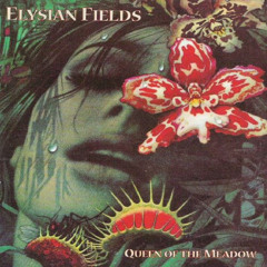 Elysian Fields- Barely Recognize You