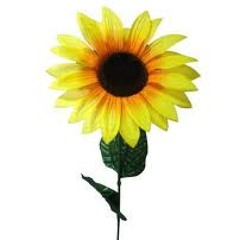 There's a Hole in the Bottom of the Sea