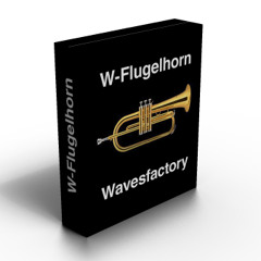 W-Flugelhorn - Demo 1