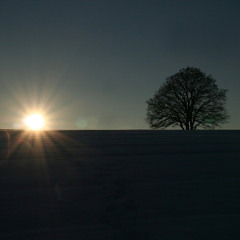 Javier Tejada -  Babylon (Original Mix)