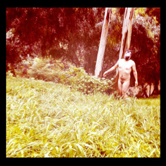 Animals On Coke - Diary Of A Dad