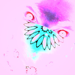 My mamma sayded dnb