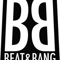 Audio Bully's - We Don't Care ( Beat & Bang neither remix )